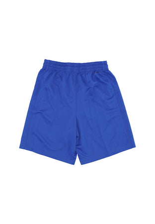 JORDAN Pantaloncino Basket Uomo Limited Road Basketball Short Team France Hyper Royal/white da uomo