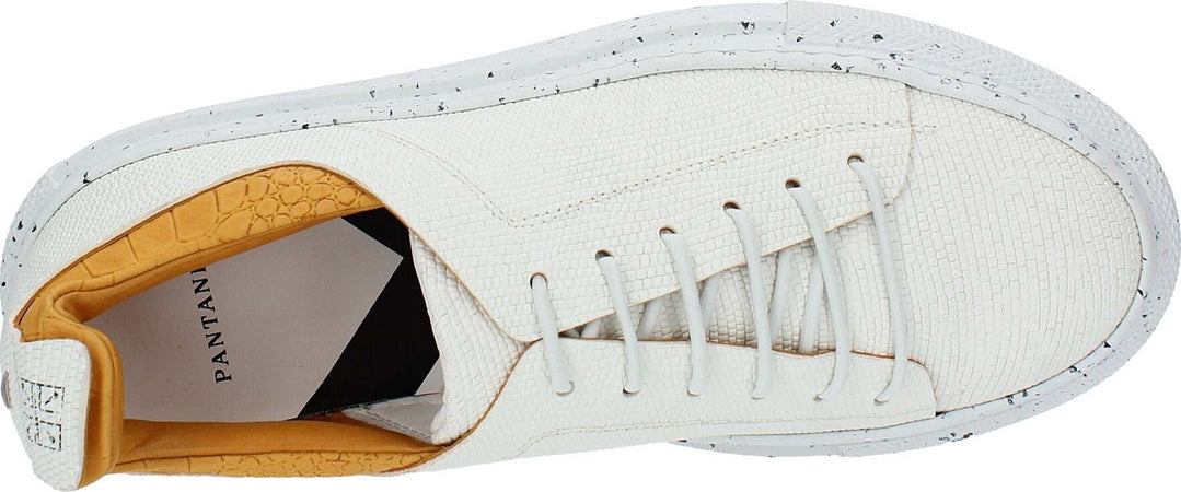 Pantanetti-Sneakers-Bianco-ocra-da-donna