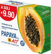 PAPAYA-ACT-3G-10-BUSTINE