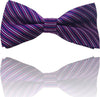Papillon-Strisce-Fucsia-Blu-Righe-Cravattino-Farfallino-Cravatta-Frack-Papion