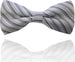 Papillon Strisce Grigio Chiaro Righe Cravattino Farfallino Cravatta Frack Papion Moda/Bambini e ragazzi/Accessori/Cravatte e papillon/Papillon Trade Shop italia - Napoli, Commerciovirtuoso.it