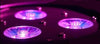 Par Led 18 X 18 W Rgbwa Uv 6 In 1 Luce Wood Party Fluo Powercon In Out Elettronica e telefonia > Accessori Audio e Video > Effetti Luce Trade Shop italia - Napoli, Commerciovirtuoso.it