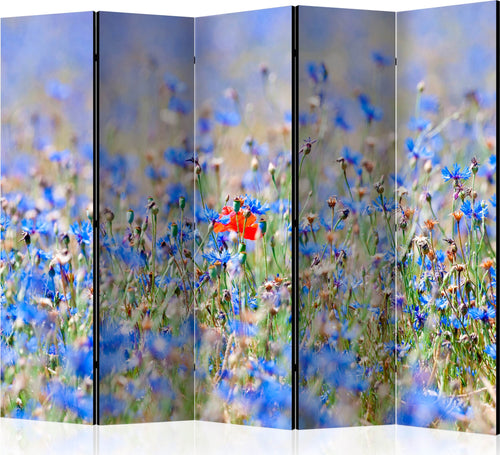 Paravento-A-skycolored-meadow-cornflowers-II-[Room-Dividers]