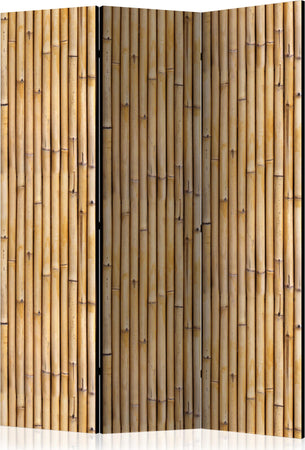 Paravento-Amazonian-Wall-[Room-Dividers]