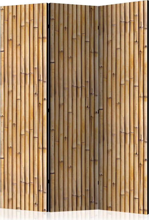 Paravento-Amazonian-Wall-[Room-Dividers]