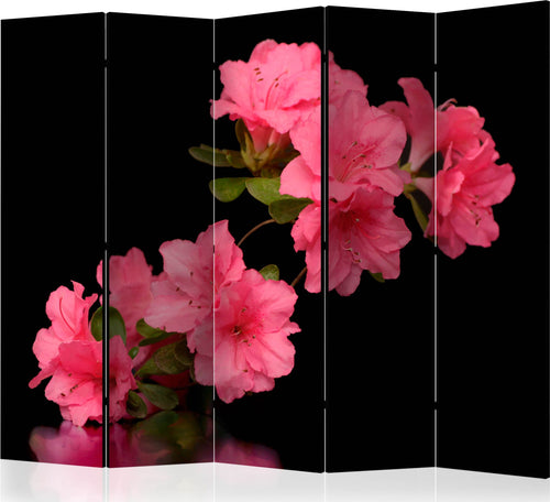 Paravento-Azalea-in-Black-II-[Room-Dividers]