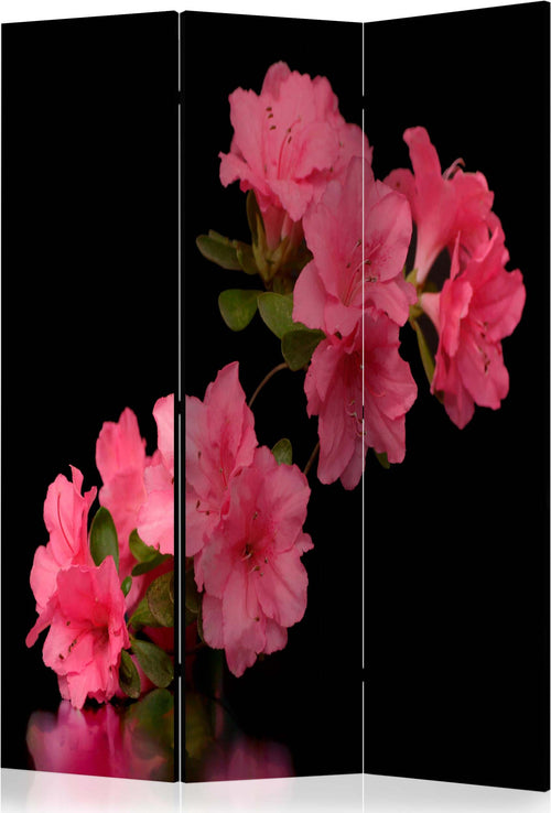 Paravento-Azalea-in-Black-[Room-Dividers]