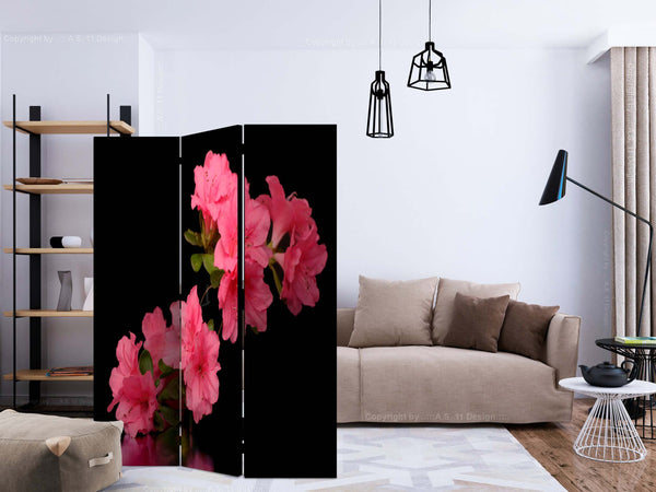 Paravento-Azalea-in-Black-[Room-Dividers]