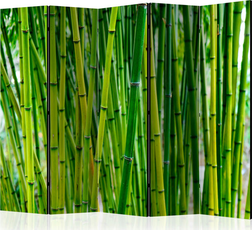 Paravento-Bamboo-Forest-II-[Room-Dividers]