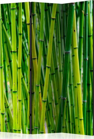 Paravento-Bamboo-Forest-[Room-Dividers]
