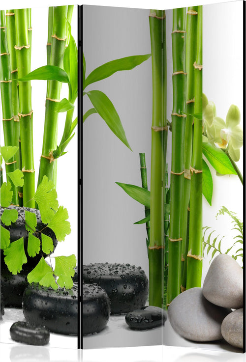 Paravento-Bamboos-and-Stones-[Room-Dividers]