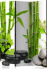 Paravento-Bamboos-and-Stones-[Room-Dividers]