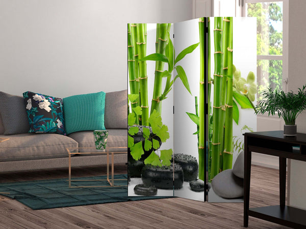 Paravento-Bamboos-and-Stones-[Room-Dividers]