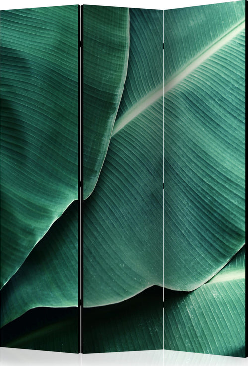 Paravento-Banana-Leaf-[Room-Dividers]