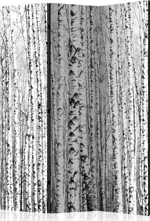Paravento-Birch-forest-[Room-Dividers]
