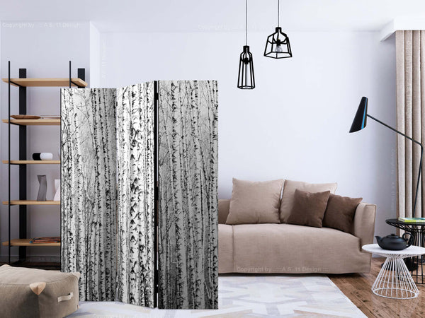 Paravento-Birch-forest-[Room-Dividers]