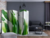 Paravento-bunch-of-flowers-callas-II-[Room-Dividers]