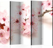 Paravento-Cherry-Blossom-II-[Room-Dividers]