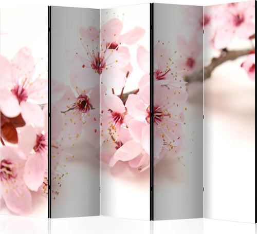 Paravento-Cherry-Blossom-II-[Room-Dividers]