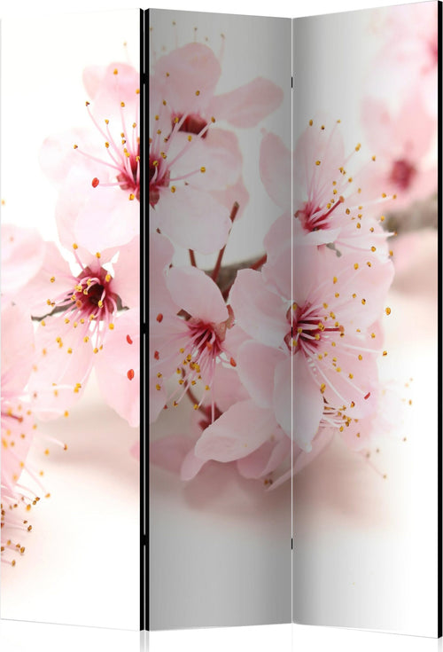 Paravento-Cherry-Blossom-[Room-Dividers]