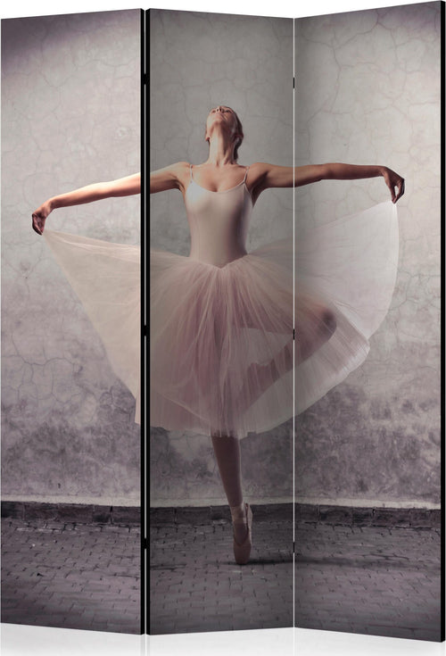 Paravento-Classical-dance-poetry-without-words-[Room-Dividers]