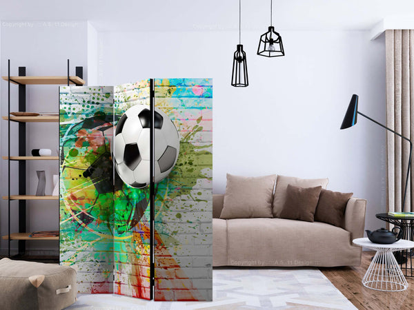 Paravento-Colourful-Sport-[Room-Dividers]