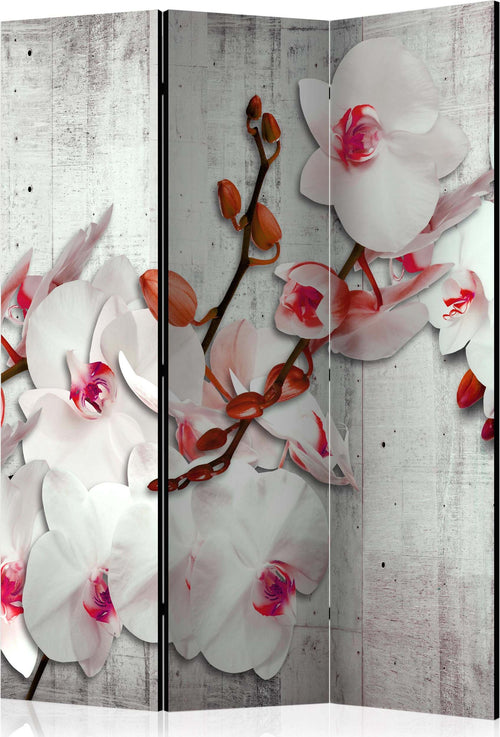 Paravento-Concrete-Orchid-[Room-Dividers]
