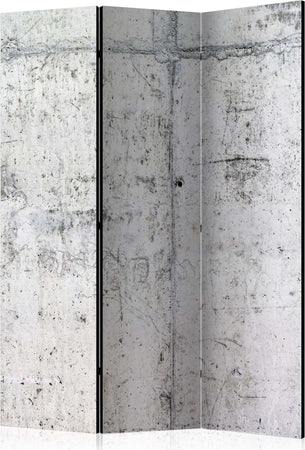 Paravento-Concrete-Wall-[Room-Dividers]