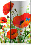 Paravento-Country-poppies-[Room-Dividers]
