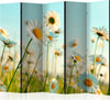 Paravento-Daisies-spring-meadow-II-[Room-Dividers]