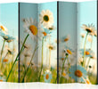 Paravento-Daisies-spring-meadow-II-[Room-Dividers]