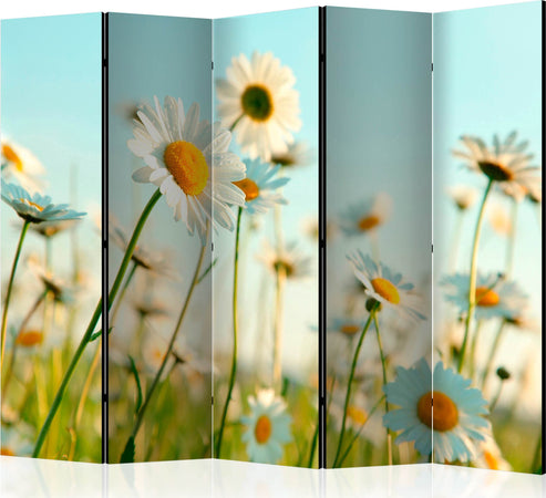 Paravento-Daisies-spring-meadow-II-[Room-Dividers]