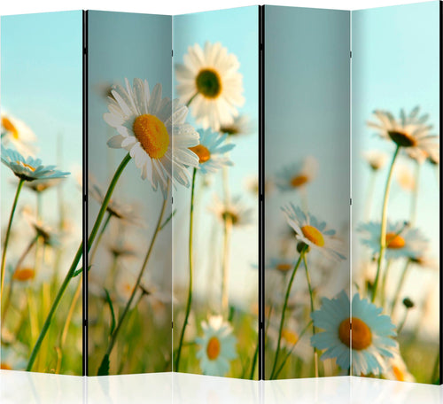 Paravento-Daisies-spring-meadow-II-[Room-Dividers]