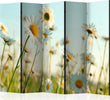 Paravento-Daisies-spring-meadow-II-[Room-Dividers]