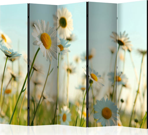 Paravento-Daisies-spring-meadow-II-[Room-Dividers]