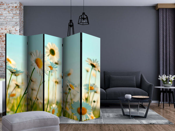 Paravento-Daisies-spring-meadow-II-[Room-Dividers]