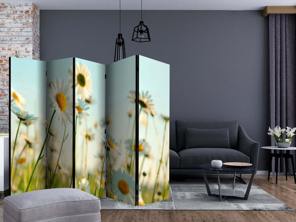 Paravento-Daisies-spring-meadow-II-[Room-Dividers]