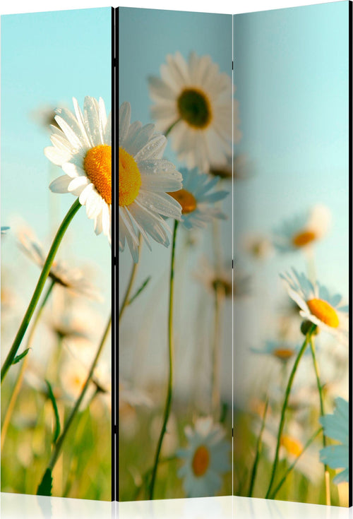 Paravento-Daisies-spring-meadow-[Room-Dividers]