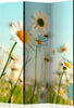 Paravento-Daisies-spring-meadow-[Room-Dividers]