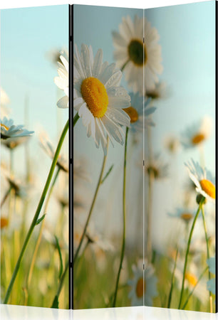 Paravento-Daisies-spring-meadow-[Room-Dividers]