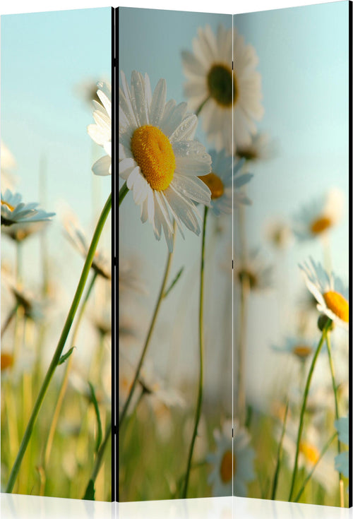 Paravento-Daisies-spring-meadow-[Room-Dividers]