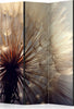 Paravento-Dandelion-Kiss-[Room-Dividers]