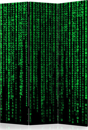 Paravento-Digital-Rain-[Room-Dividers]