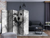Paravento-Dynamic-Football-II-[Room-Dividers]