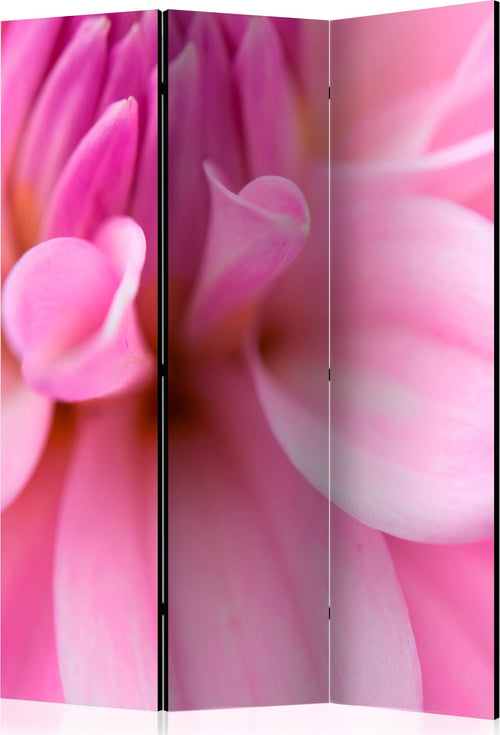 Paravento-Flower-petals-dahlia-[Room-Dividers]