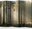 Paravento-Foggy-November-morning-II-[Room-Dividers]