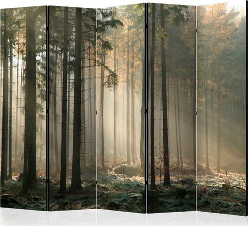 Paravento-Foggy-November-morning-II-[Room-Dividers]