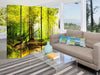 Paravento-Forest-Clearing-II-[Room-Dividers]
