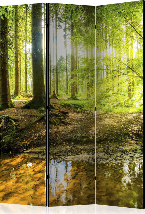 Paravento-Forest-Lake-[Room-Dividers]