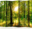 Paravento-Forest-Rays-II-[Room-Dividers]